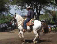 Livestock Expo, Chila 2/11/11