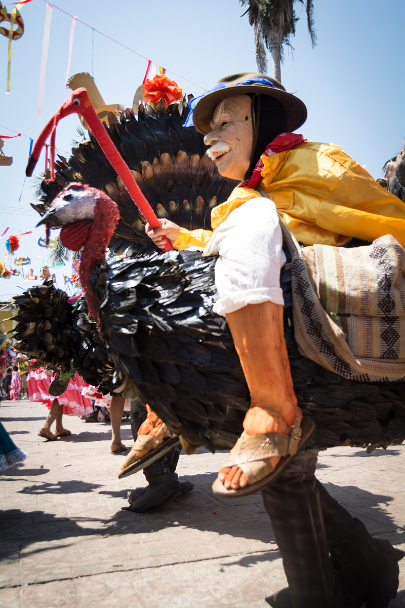 Carnaval en Putla. Foto: Ernesto J. Torres