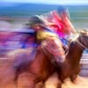 Carrera de caballos en Colotepec