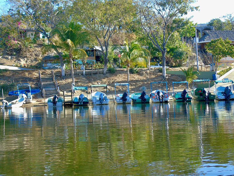Por la mañana en la Laguna de Manialtepec. Foto: Ernesto J. Torres