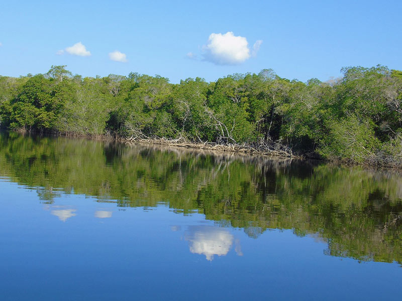 Morning in The Manialtepec Lagoon. Photo: Ernesto J. Torres