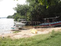 Los barcos en la Isla del Gallo, Manialtepec