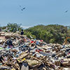 The Down and Dirty in Puerto Escondido