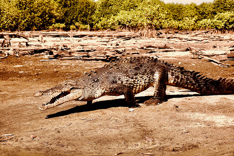 Photo: Monty Tremlett