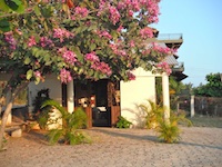Chapel, Virgin of Guadalupe, Brisas de Zicatela